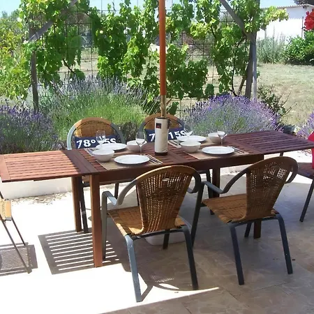 Mit Pool Holiday home Sisan